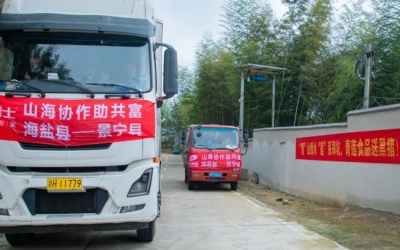 懷抱熱愛、奔赴山海~ 膳博士黑豬“遠嫁”景寧鄭坑助共富！